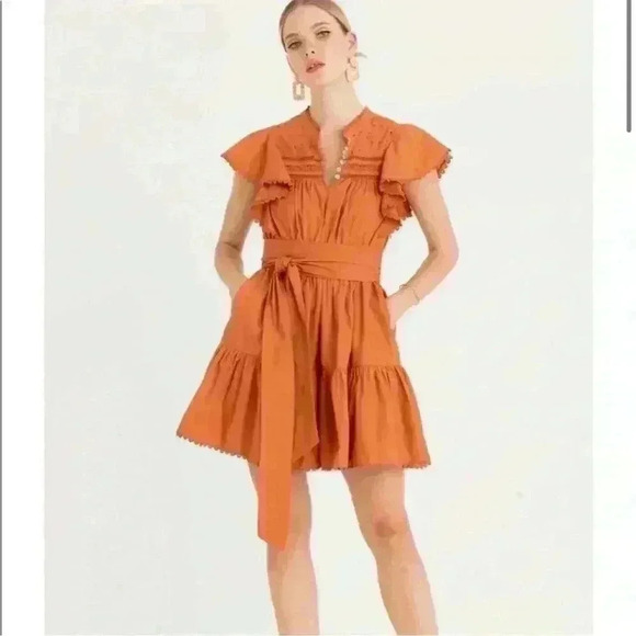 Secret mission, Valencia Bartolina dress  small, burnt orange knee length dress - Picture 9 of 14